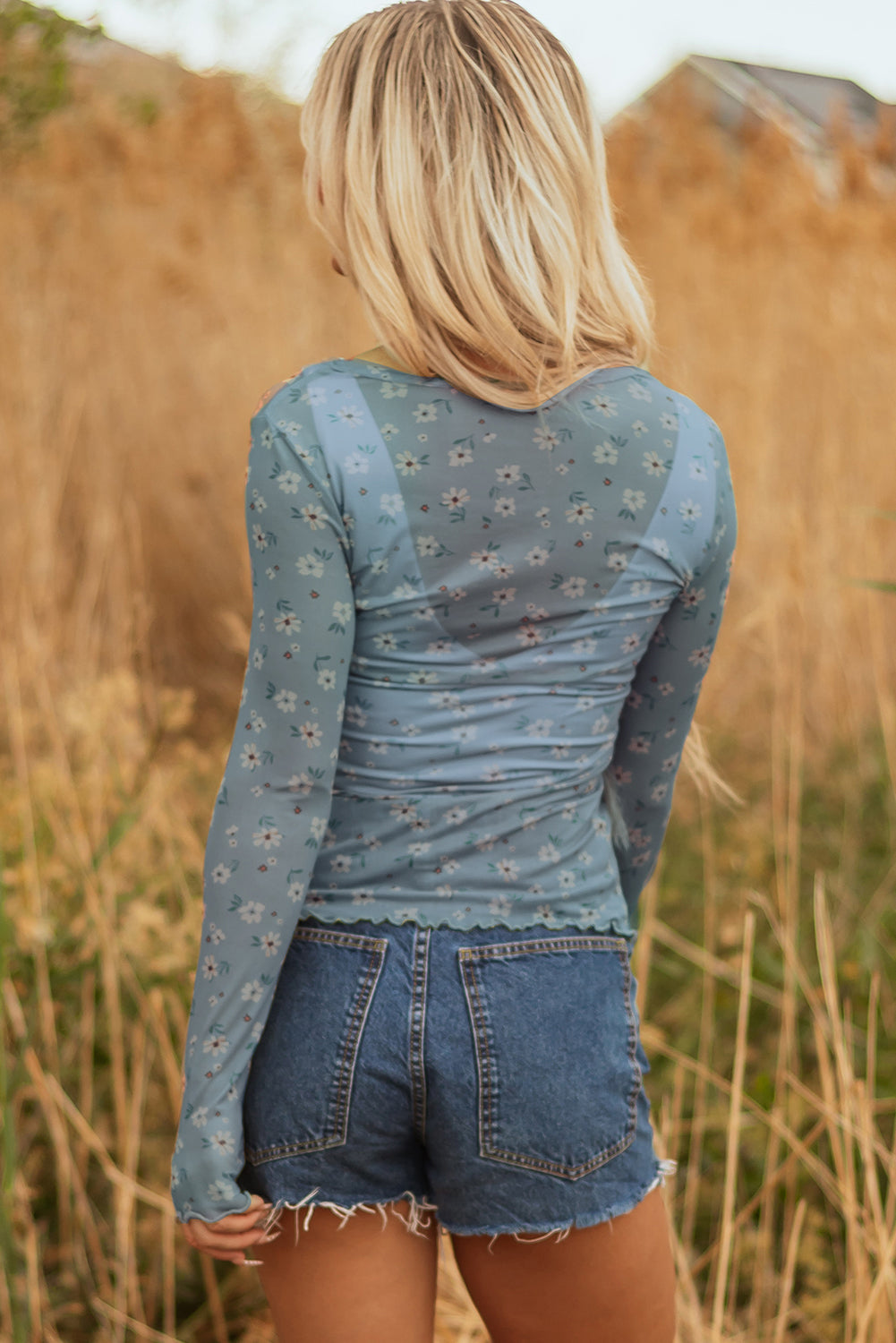Sky Blue Vintage Floral Print Southern Style Mesh Long Sleeve Top