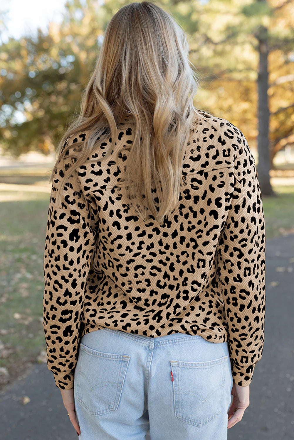 Parchment Leopard Polo Collar V Neck Pullover Top