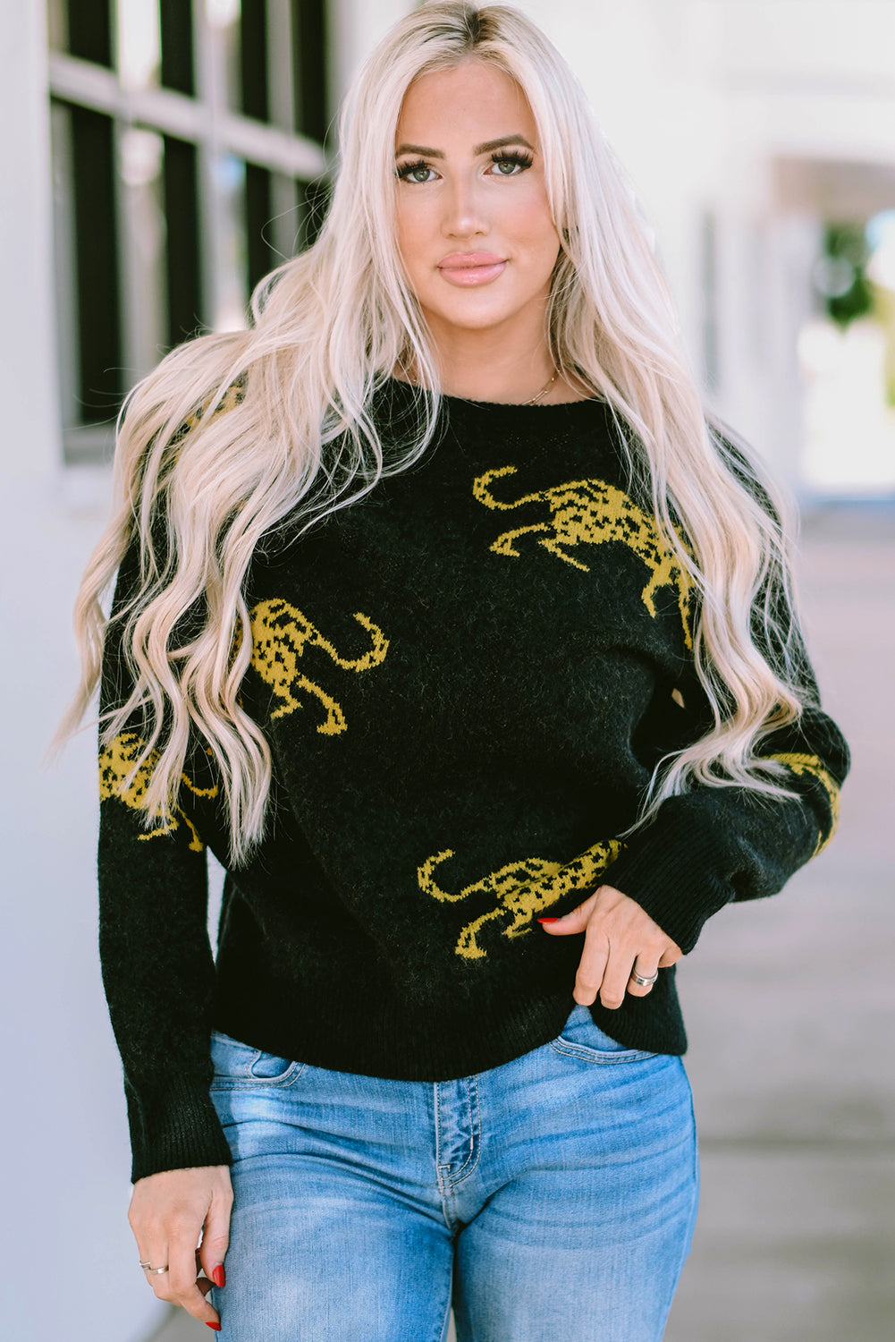 Black Cheetah Pattern Knit Round Neck Sweater